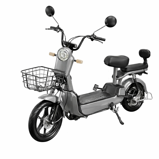 Ecoxtreme EB-02 Cor: Cinza Claro, Potencia de 500W
