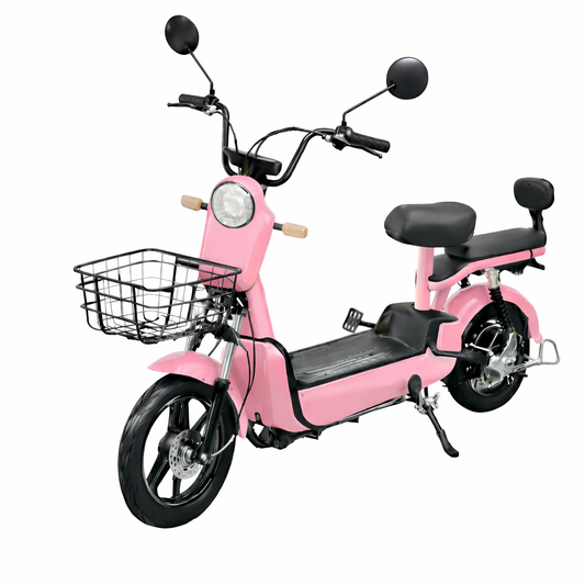 Ecoxtreme EB-02 Cor: Rosa Claro, Potencia de 500W